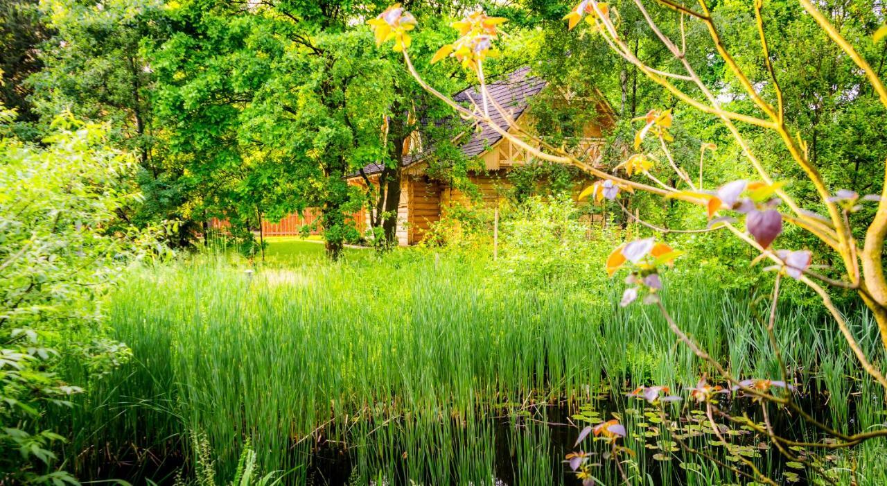 Sucholand Villa Miedziana Gora Ngoại thất bức ảnh